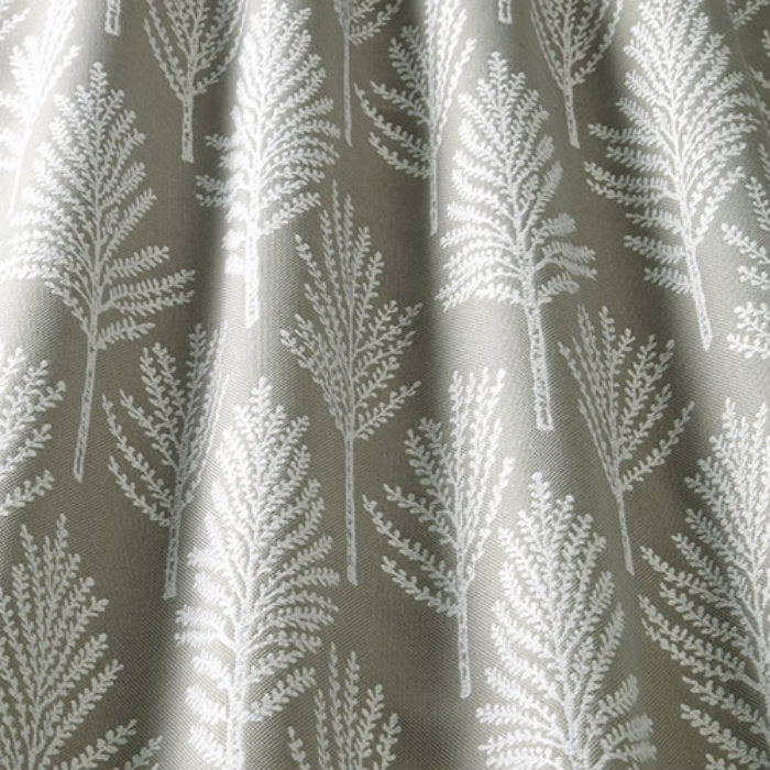 iLiv Astrid Graphite