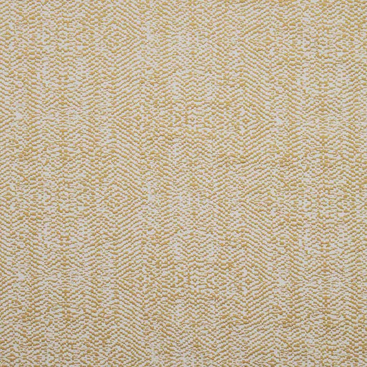 Clarke & Clarke Quantum Chartreuse Double Width