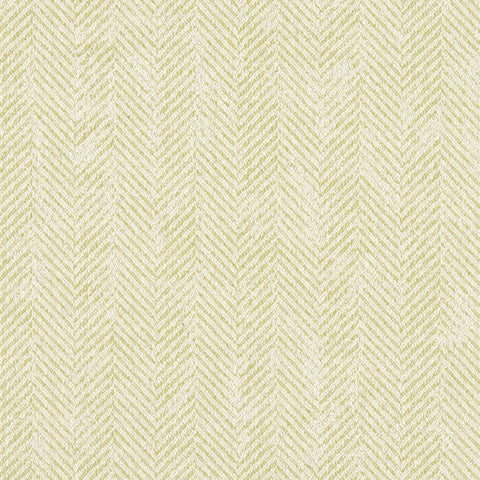 Clarke & Clarke Ashmore Citron