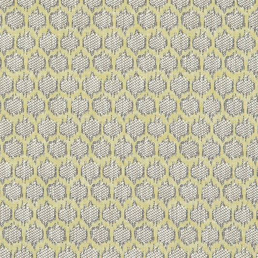 Clarke & Clarke Dorset Citron