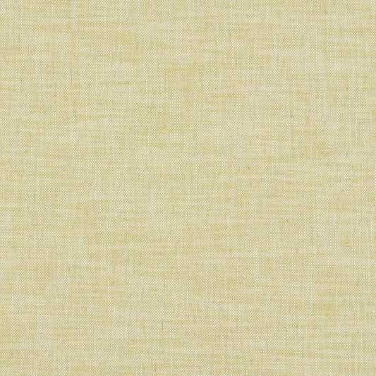 Clarke & Clarke Milton Citron