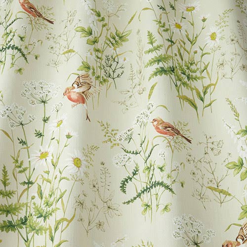 iLiv Forever Spring Coral