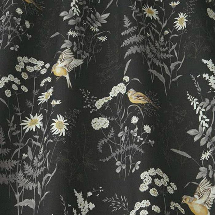 iLiv Forever Spring Charcoal