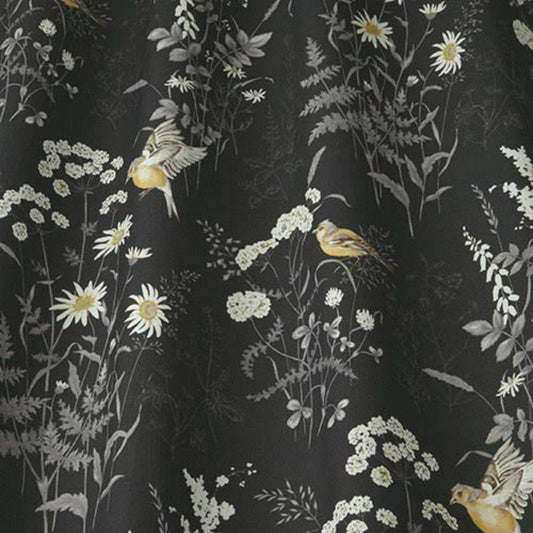 iLiv Forever Spring Charcoal