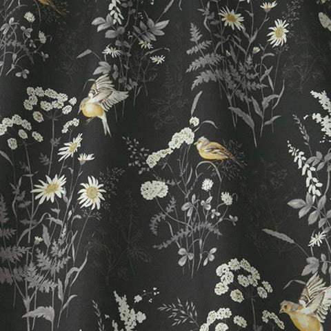 iLiv Forever Spring Charcoal