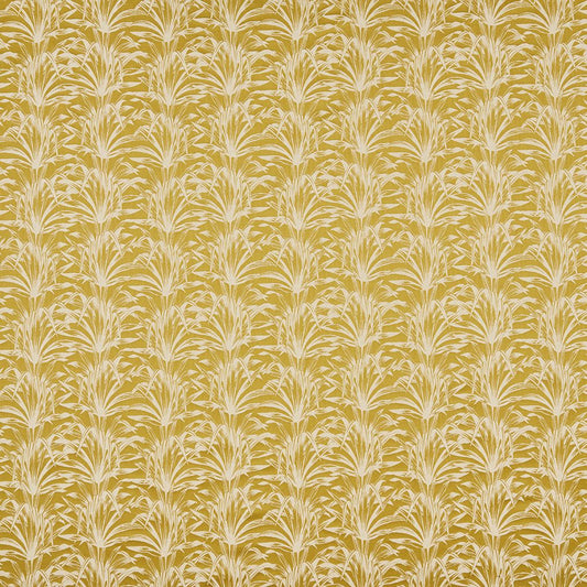 Iliv Caravelle Pampas