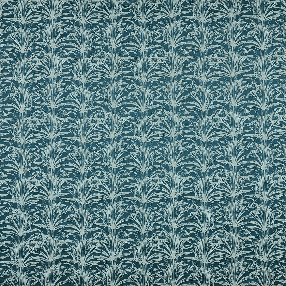 Iliv Caravelle Amazon