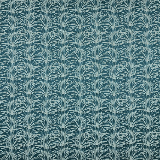 Iliv Caravelle Amazon