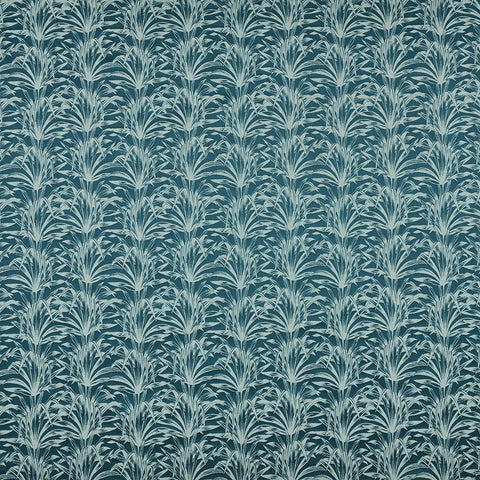 Iliv Caravelle Amazon