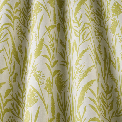 iliv Wild Grasses Citrus