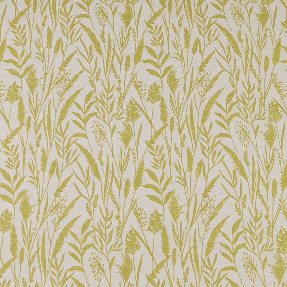 iliv Wild Grasses Citrus