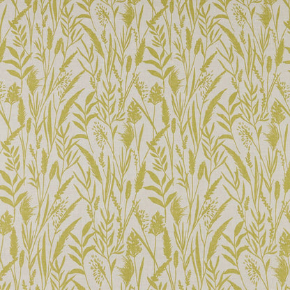 iliv Wild Grasses Citrus