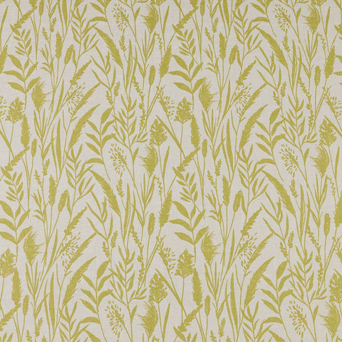 iliv Wild Grasses Citrus