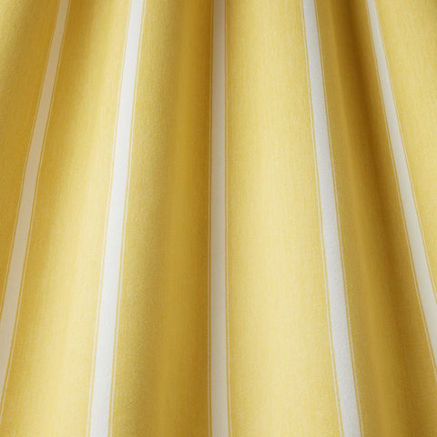 iliv Waterbury Citrus