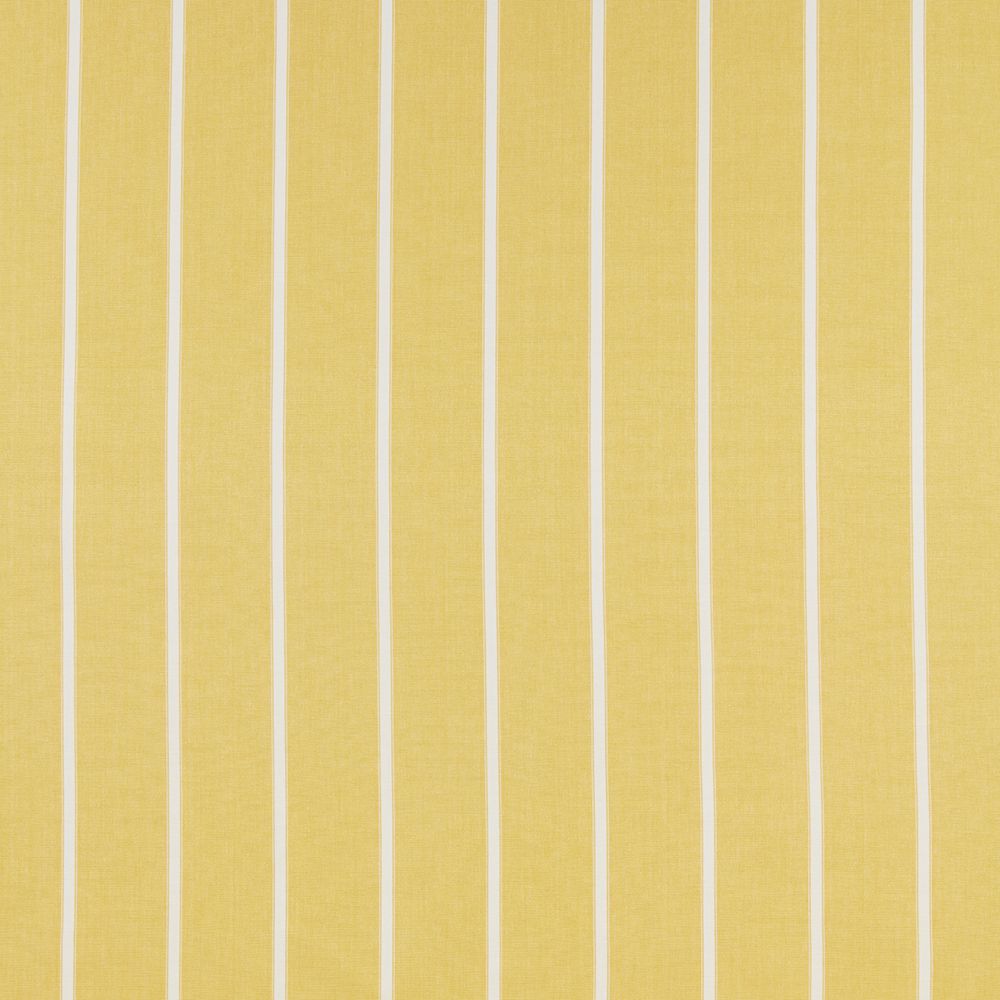 iliv Waterbury Citrus