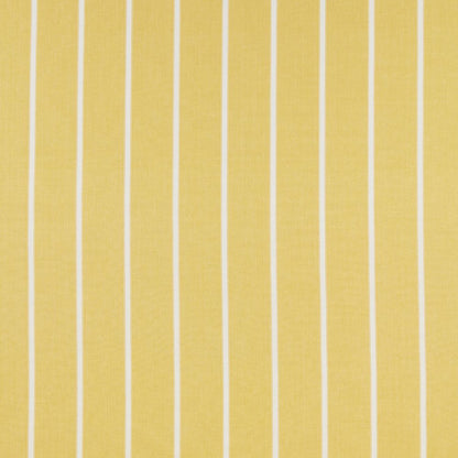 iliv Waterbury Citrus