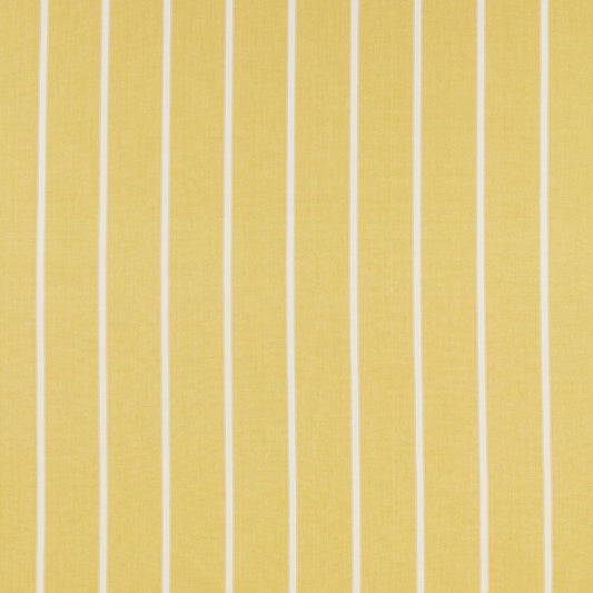 iliv Waterbury Citrus