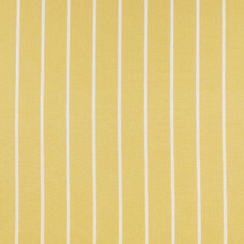 iliv Waterbury Citrus