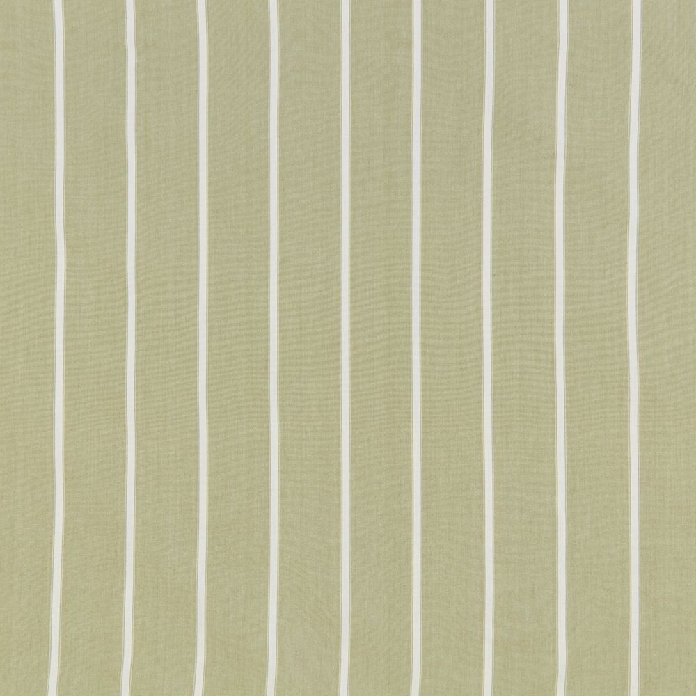 iliv Waterbury Olive