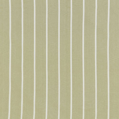 iliv Waterbury Olive