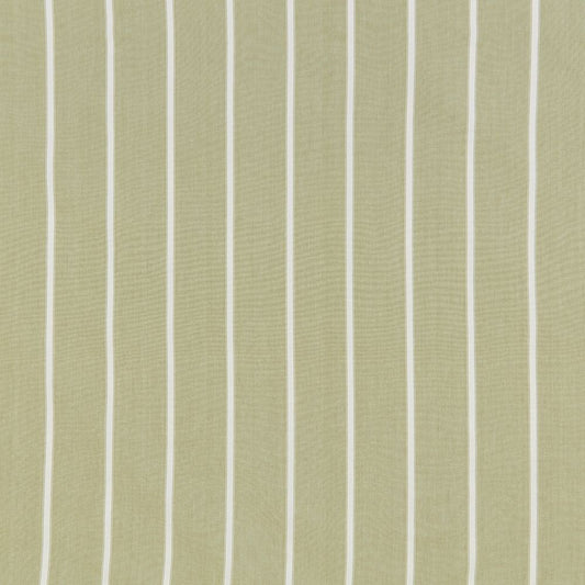 iliv Waterbury Olive