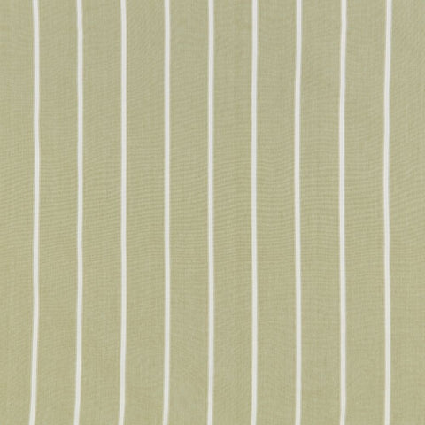 iliv Waterbury Olive