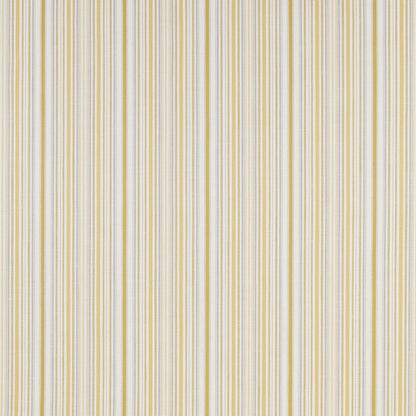 iliv Somerville Citrus