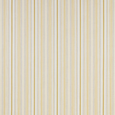 iliv Somerville Citrus