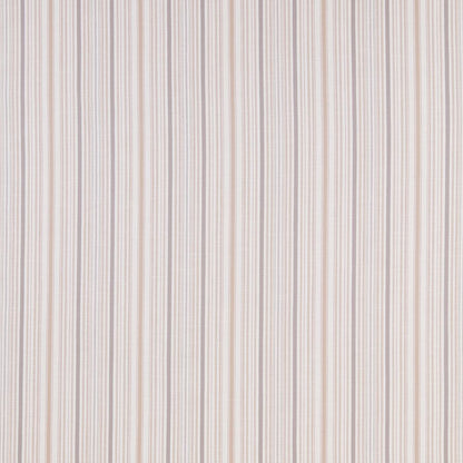 iliv Somerville Rose