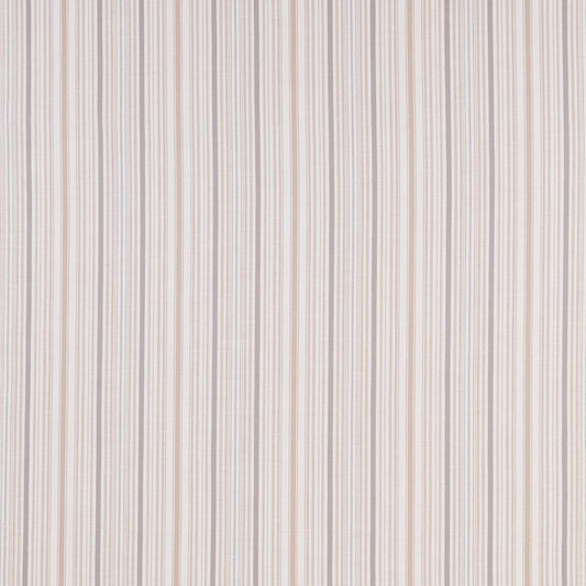 iliv Somerville Rose