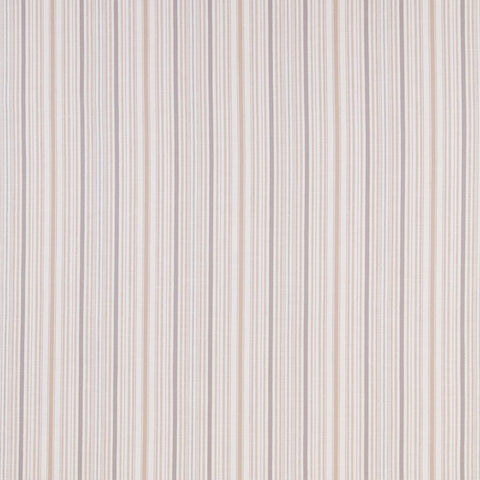 iliv Somerville Rose