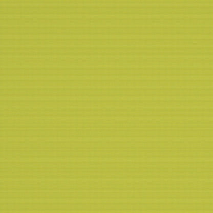 Warwick Bantry-Bay Lime Outdoor Fabric