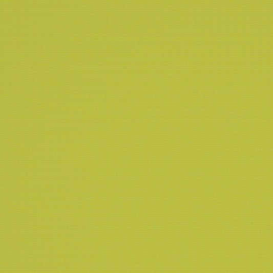 Warwick Bantry-Bay Lime Outdoor Fabric