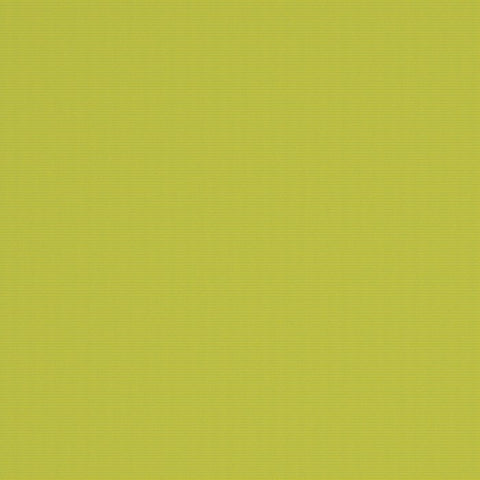 Warwick Bantry-Bay Lime Outdoor Fabric