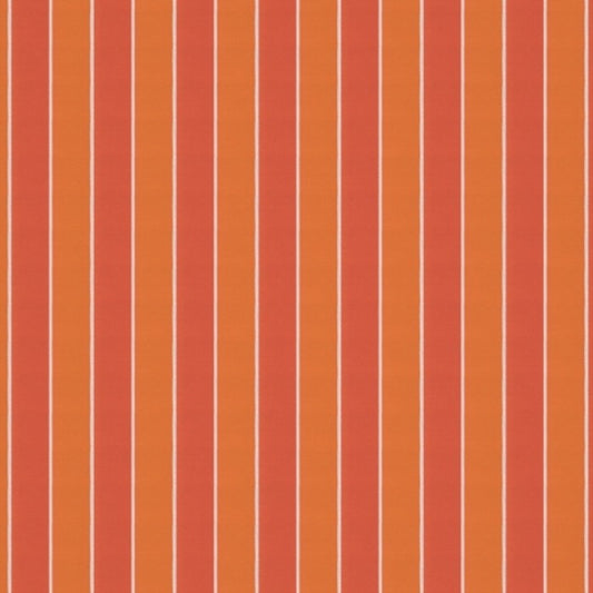 Warwick Robberg Tangerine