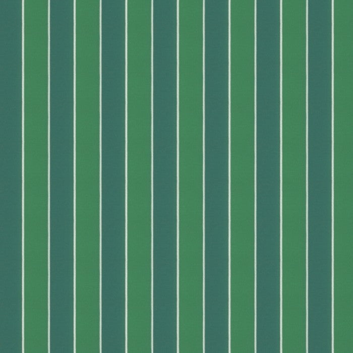 Warwick Robberg Palm