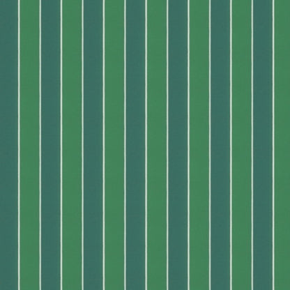 Warwick Robberg Palm