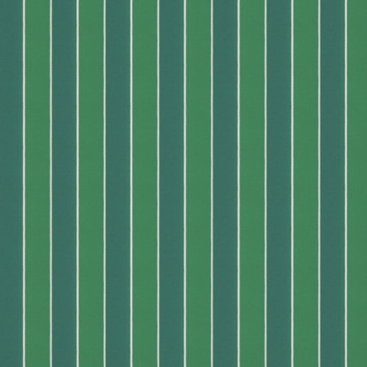 Warwick Robberg Palm