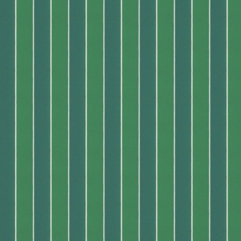 Warwick Robberg Palm