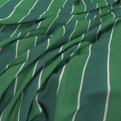 Warwick Robberg Palm