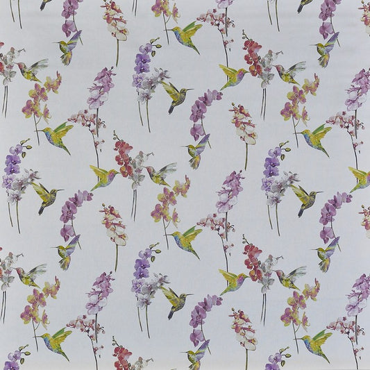Prestigious Textiles Hummingbird Blossom