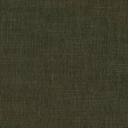 Warwick Manhattan Conifer