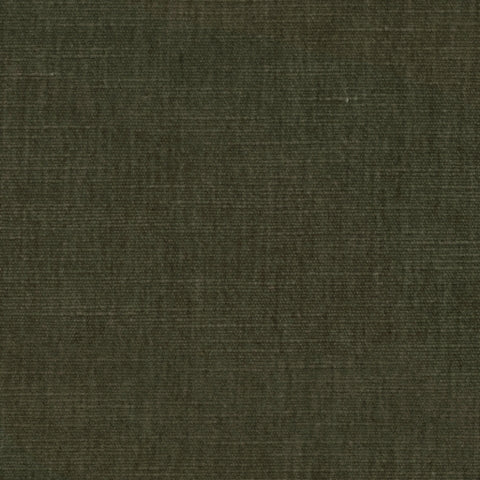 Warwick Manhattan Conifer