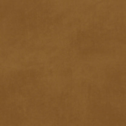 Warwick Matador Mustard