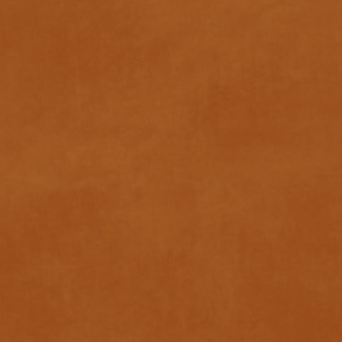 Warwick Matador Pumpkin