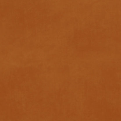 Warwick Matador Pumpkin