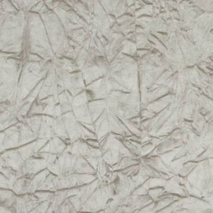 Clarke & Clarke Studio G Sylvana Taupe