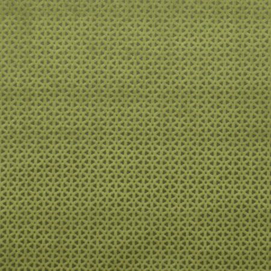 Clarke & Clarke Studio G Loreto Olive