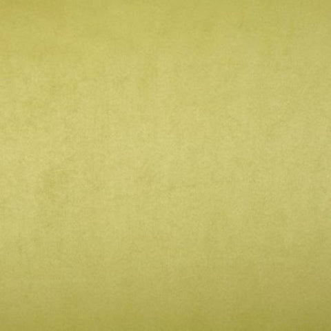 Prestigious Textiles Mirage Moss
