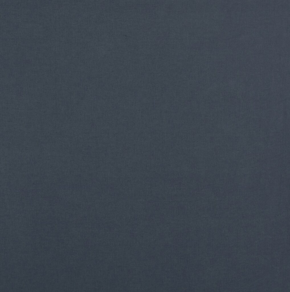 Ashley Wilde Norma Ink